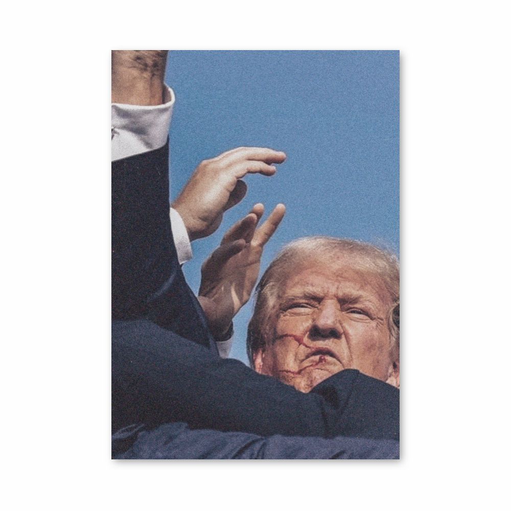 Póster Victoria de Trump