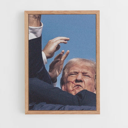 Póster Victoria de Trump