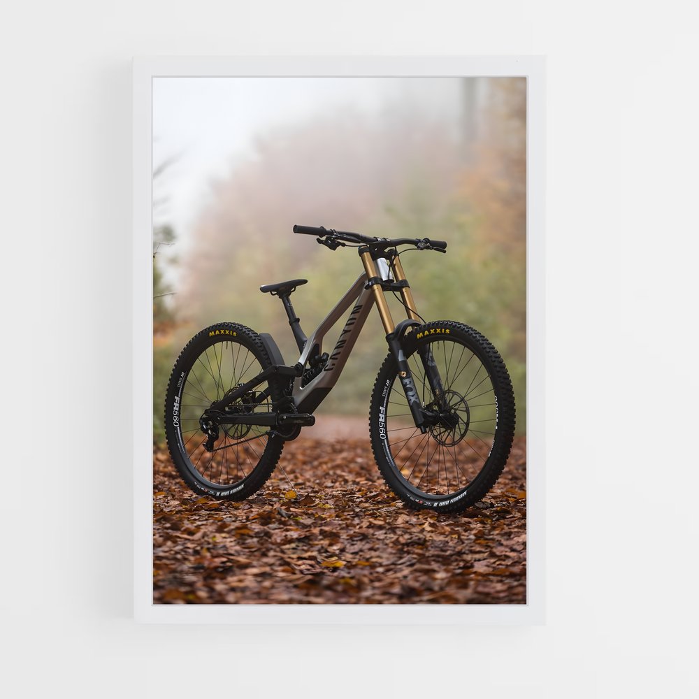 vtt-1 cadre Blanc