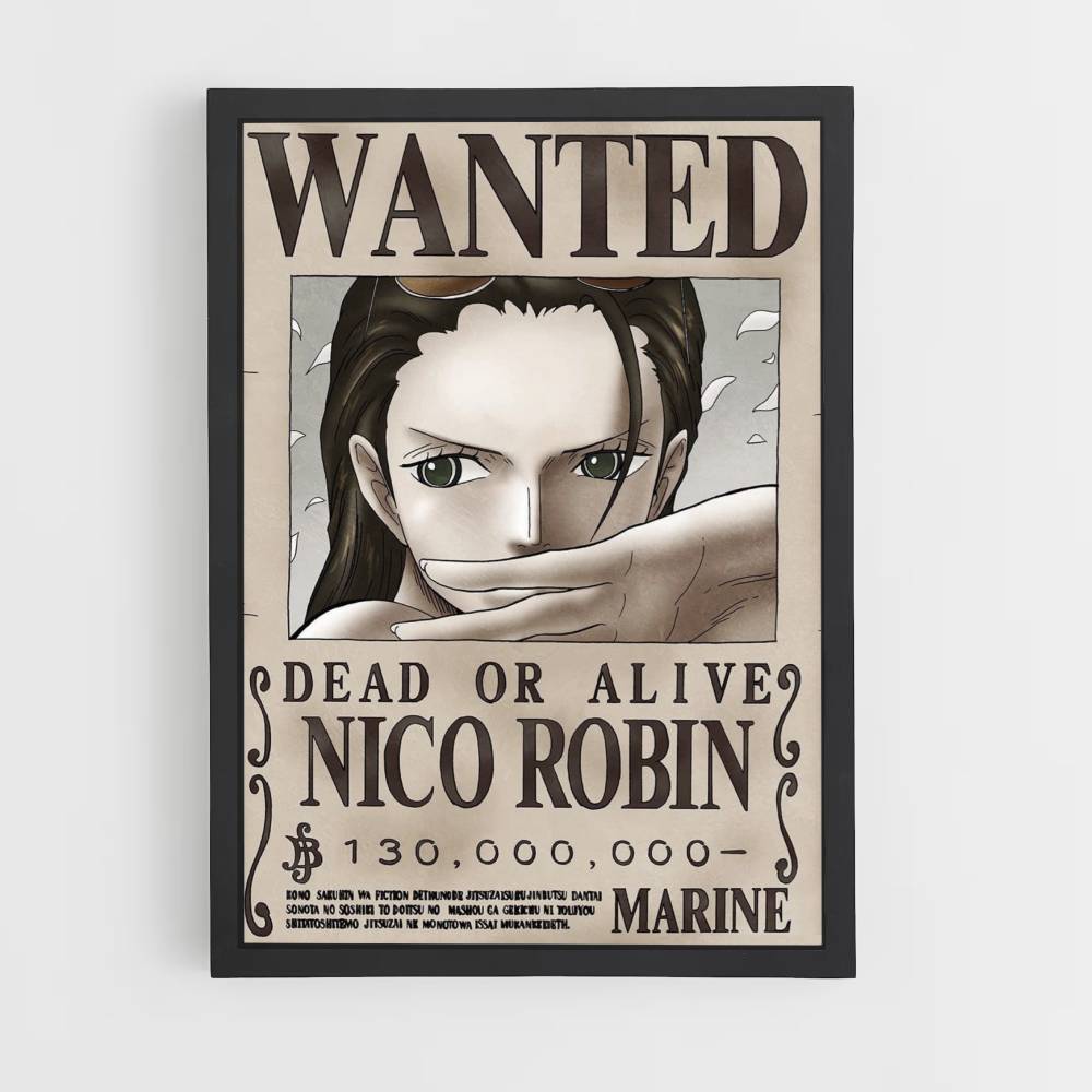 Robin Póster