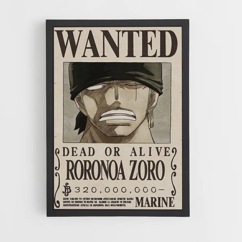 cartel de zoro