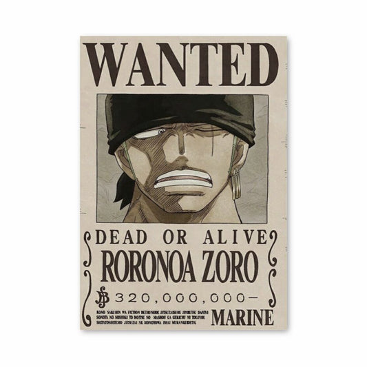 cartel de zoro