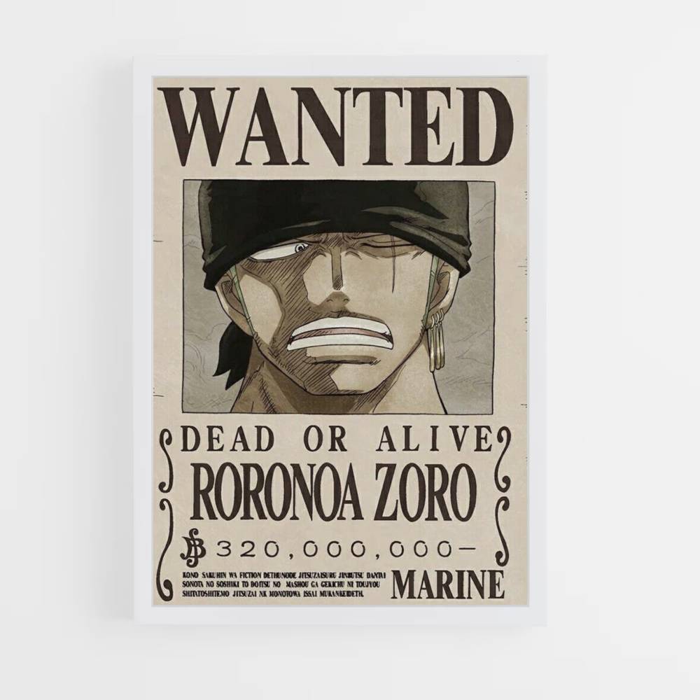 cartel de zoro