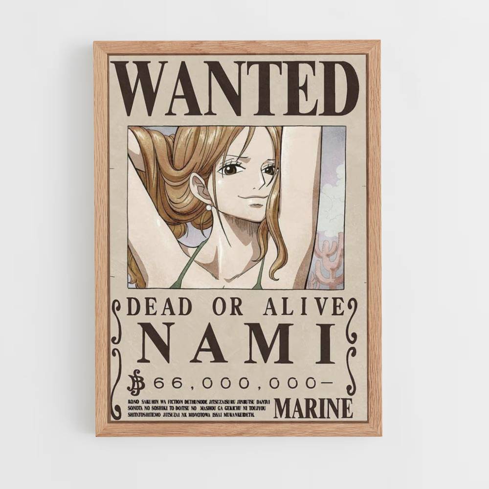 Nami Póster