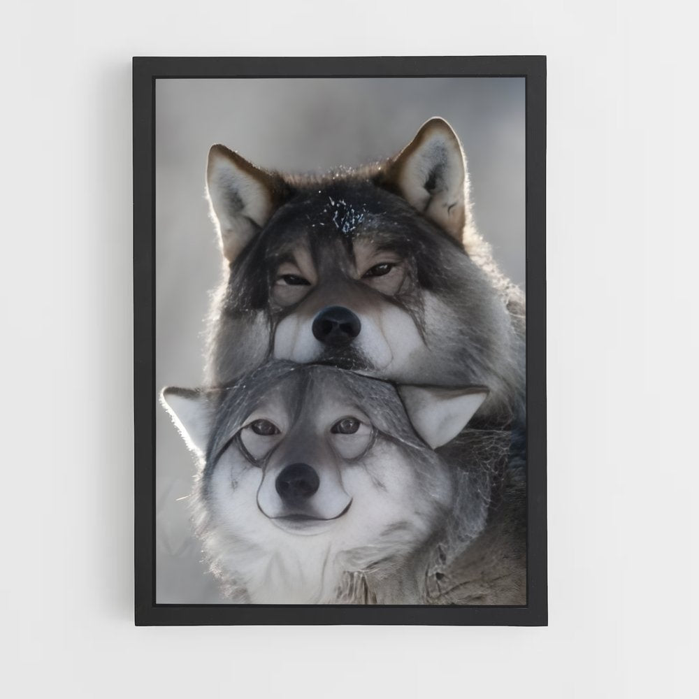 wolf-4 cadre Noir