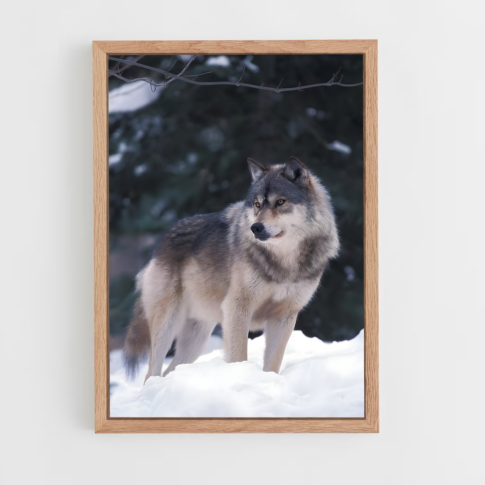 wolf-5 cadre Bois clair
